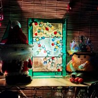 アロエ,山茶花の画像