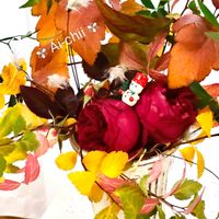 ウツギ,クレマチス,コバノズイナ,バラ,ミニバラの画像