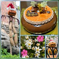 タマスダレ,イモカタバミ,花のある暮らし,ディズニーランド,植物好きの画像