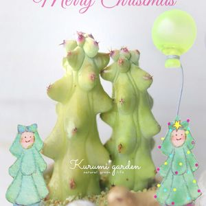 福禄竜神木,ミニジオラマ,サボテン イラスト,クリスマスツリー,インテリア雑貨の画像