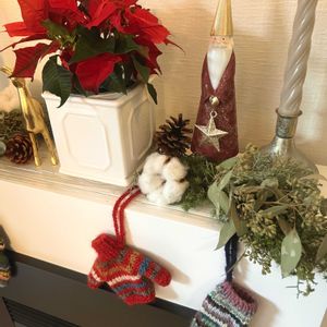 ブルーアイス,ポインセチア,ユーカリ,松ぼっくり,コットンの画像