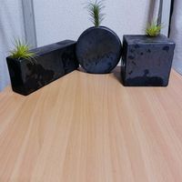 チランジア,エアプランツ,一輪挿し,iPhone撮影,asingleflowervaseの画像