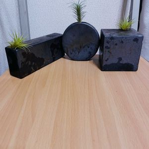 チランジア,エアプランツ,一輪挿し,iPhone撮影,asingleflowervaseの画像