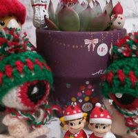 ポインセチア,オキナワスズメウリ,桃太郎,クリスマス,ブースカの画像