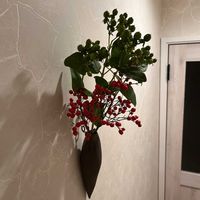 ヒペリカムの画像