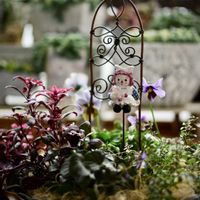 フォクスリータイム,キンギョソウ ブランルージュ,プレミアムビオラ,黒葉 ビオラ,変わり咲きビオラ 月うさぎの画像