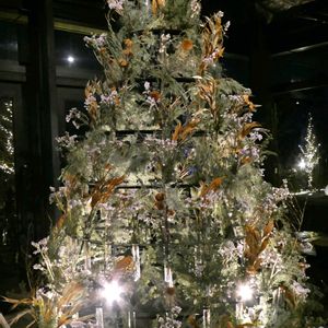 クリスマスツリー♡,KITTEツリー,イルミネーション,クリスマスツリー,平和を願うの画像