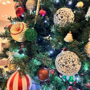 ラウリンゼ,アメイジンググレイス,アメイジンググレイス,グリーンエレガンス,グリーンエレガンスの画像