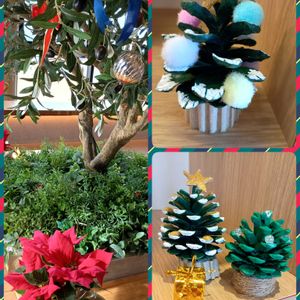 ポインセチア,ポインセチア,クリスマスツリー♡,クリスマスケーキ⭐︎,ペコちゃん祭り❗️の画像