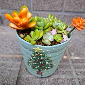 階段/廊下の画像