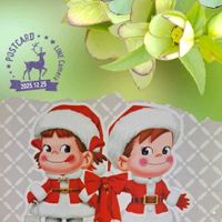 クリスマスローズ,ピラカンサ,ポインセチア,ポインセチア,ポトスの画像