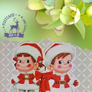 クリスマスローズ,ピラカンサ,ポインセチア,ポインセチア,ポトスの画像