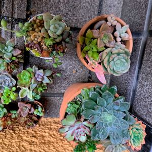 階段/廊下の画像