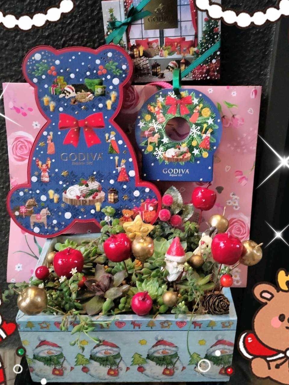 クリスマスの投稿画像 by ヒロンさん｜多肉植物 寄せ植えとクリスマス