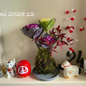 ナンテン,南天,葉牡丹,ハボタン　ベビーフラ,葉牡丹ベビースマイルの画像