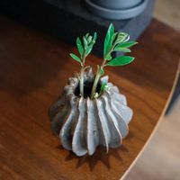 オリーブ,オリーブ,オリーブのある暮らしの画像