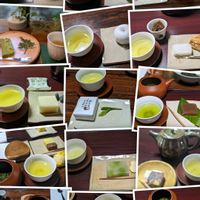 ドウダンツツジ,思い出,風景,豊田市,喜楽亭の画像