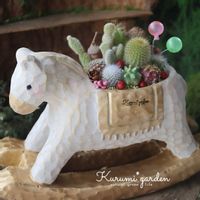 サボテン,サボテン,サボテン寄せ植え,木の実のアレンジ,どんぐりの帽子の画像