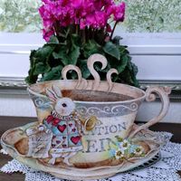 シクラメン,ヘーベ,ペラルゴニウム・シドイデス,へーべ　クイーンキウイへーべ,ティウのトールの画像