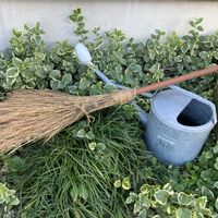 コキア,今年もありがとう,箒作りの画像