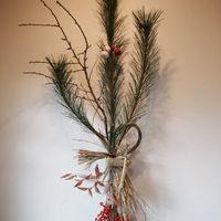 ウメ,ナンテン,ヒョウタン,マツ,レモングラスの画像