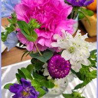 カーネーション,千日紅,デルフィニウム,北海道,寒冷地の画像