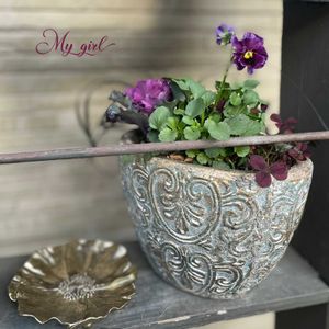 パンジー・ビオラ,マイガール,ビオラ　マイガール,寄せ植え,ナチュラルガーデンの画像