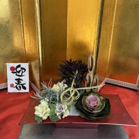 カレープラント,ハボタン　ラブポーション　ブラッシカ,ハボタン　コサージュシリーズ,寄せ植え,お正月飾りの画像