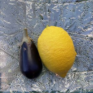 レモン,四季なりイチゴ,茄子,#家庭菜園,小さなスペースの画像