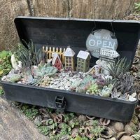 箱庭,多肉箱庭,ツールボックス,小さな箱庭,ツールボックス寄せの画像