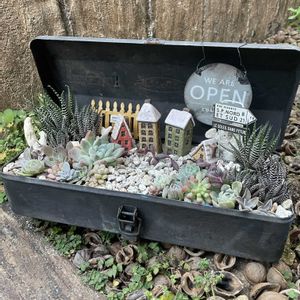 箱庭,多肉箱庭,ツールボックス,小さな箱庭,ツールボックス寄せの画像