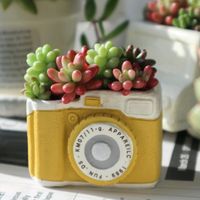 セダム,オーロラ,ビアホップ ,多肉寄せ植え,北海道タニラーの画像