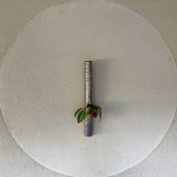 サネカズラ,一輪挿し,叶長壽庵 寿長生の郷の画像