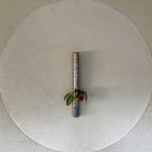 サネカズラ,一輪挿し,叶長壽庵 寿長生の郷の画像