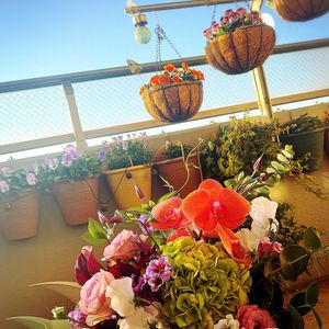 花束,ありがとう,地道にコツコツ,島根県松江市,いない松江春日店の画像