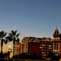 フェニックス,夕焼け富士山,ヤシ,フェニックス属,ちっちゃいものクラブの画像