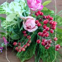 ナンテン,バラ,ヤツデ,アスパラ,葉ボタンの画像