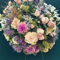 ストック,ネメシア,ハボタン,葉牡丹,葉牡丹の画像