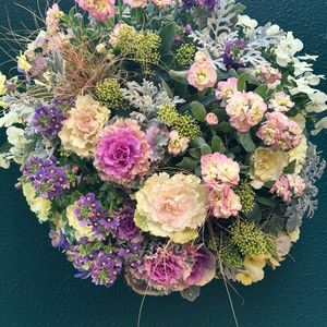 ストック,ネメシア,ハボタン,葉牡丹,葉牡丹の画像