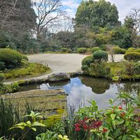 ウメモドキ,ウメモドキ,センリョウ,センリョウ,花のある暮らしの画像