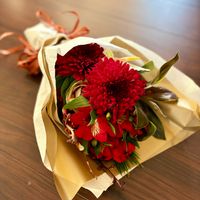 アルストロメリア,ドラセナ,マツ,葉牡丹,マムの画像