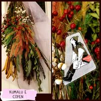 ノイバラ,バラ,ナンキンハゼ,緑米,エノコログサの画像