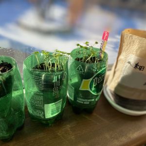 北海道,オーガニック野菜 ,キッチン,家庭菜園の画像