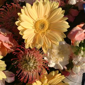 鉢植え,ガーデニング,花束,散策,植え込みの画像