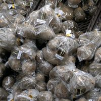 ガイラルディア,里芋,ギョリュウバイ,ホソバヒイラギナンテン,ヘクソカズラの画像