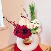 アンスリウム,ネコヤナギ,マツ,葉牡丹,デンファレの画像