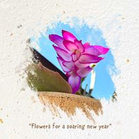 シャコバサボテン,リーフレタス,レタス・サラダミックス,頂き物,冬を楽しむの画像