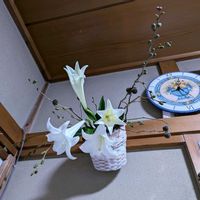 テッポウユリ,ヤシャブシ,いけばな,和室の画像