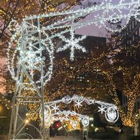 サトイモ,来年も宜しくお願いします,花と緑のある暮らし,優しい気持ち♡,スマホ撮りの画像