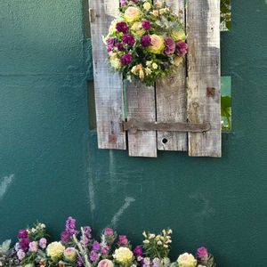 葉牡丹,ビオラ,ビオラ・なごみももか・しんしん,葉牡丹（はぼたん）,12月の画像